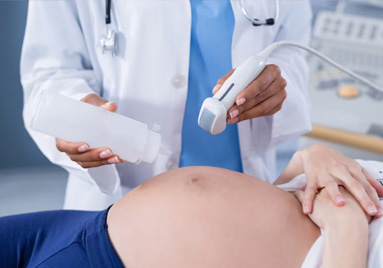 curso guia en reproduccion asistida